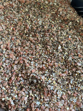 Load image into Gallery viewer, SP & G Gourmet Seasoned Salt