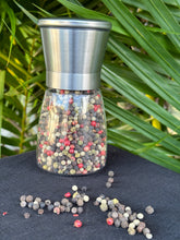 Load image into Gallery viewer, Pepper Gourmet - Stainless Steel

