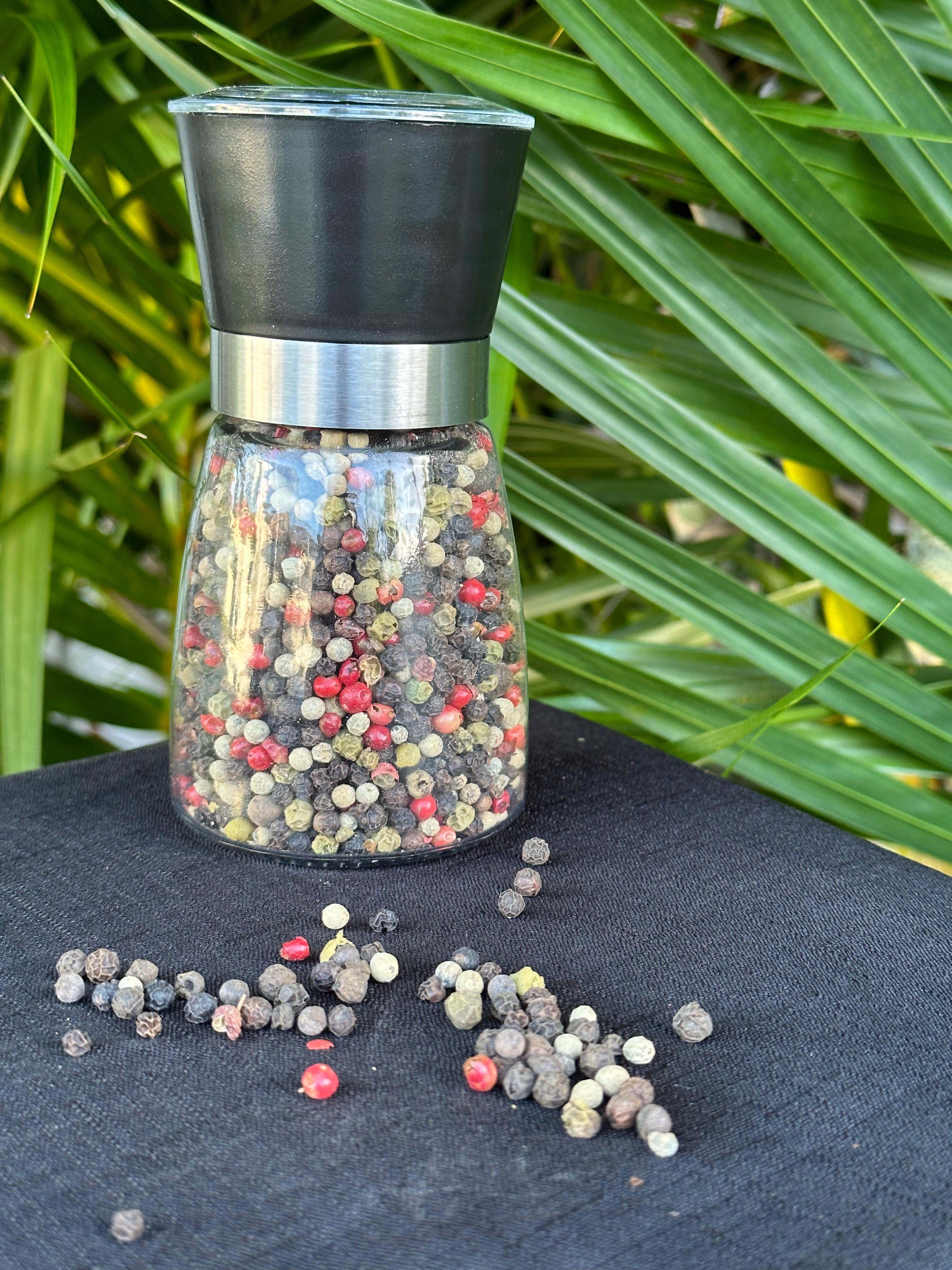 Gourmet salt and best sale pepper shakers